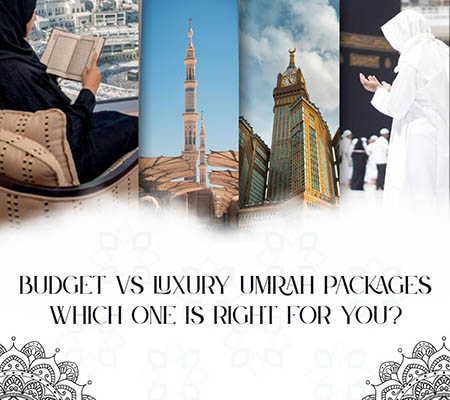 Which One Suits You Best